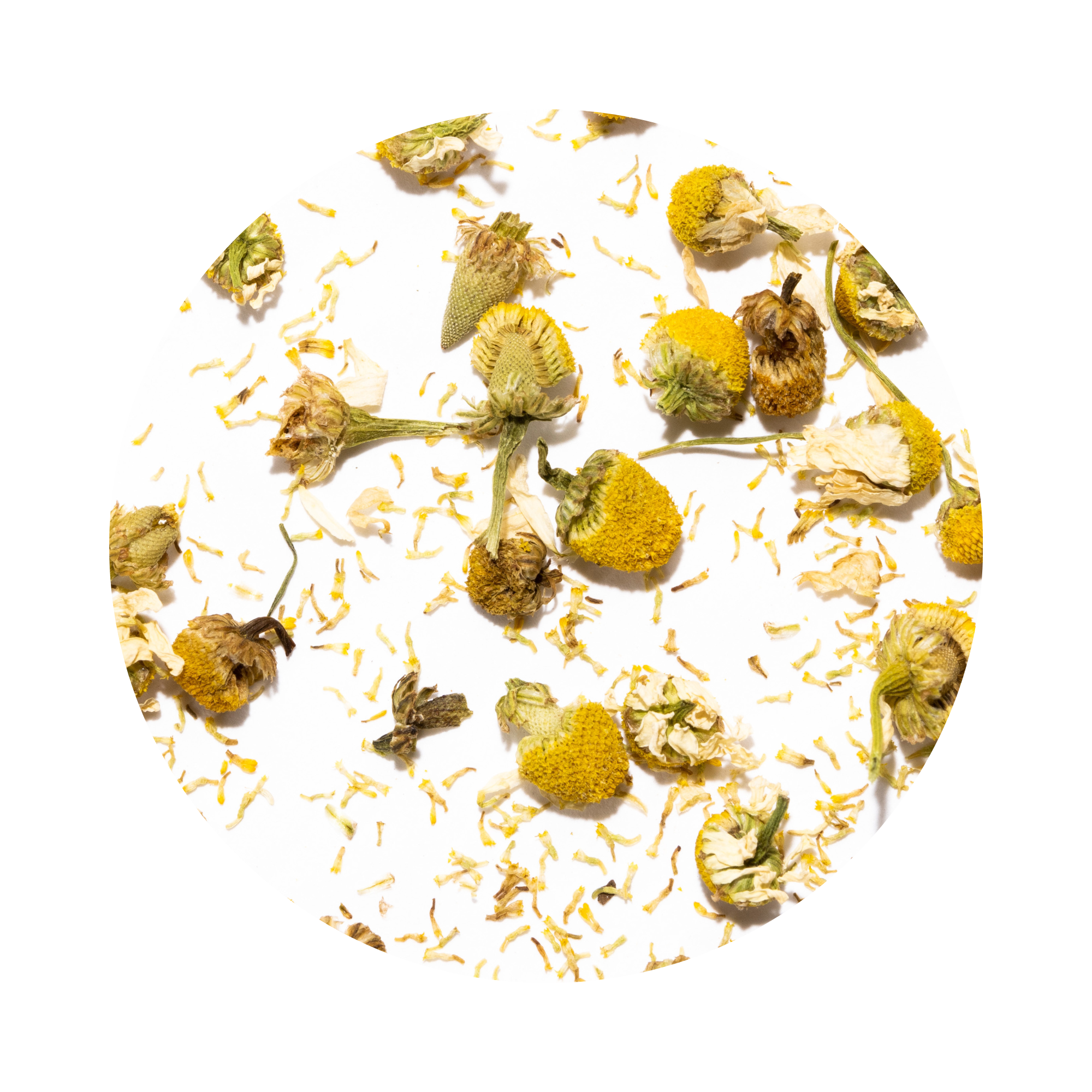 CALMING CHAMOMILE - DAILY DRINKER